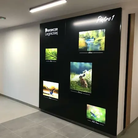Studio Apartament - Centrum Wroclawia Ul. Malopanewska